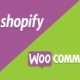 Shopify ou WooCommerce